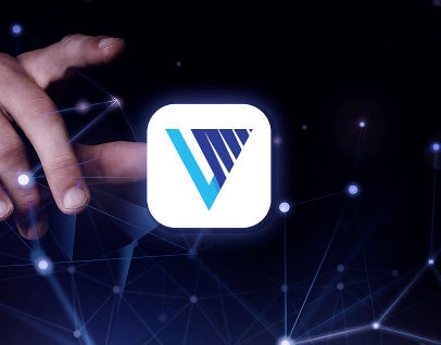 Brand Identity | P3 Vibe